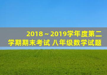 2018～2019学年度第二学期期末考试 八年级数学试题